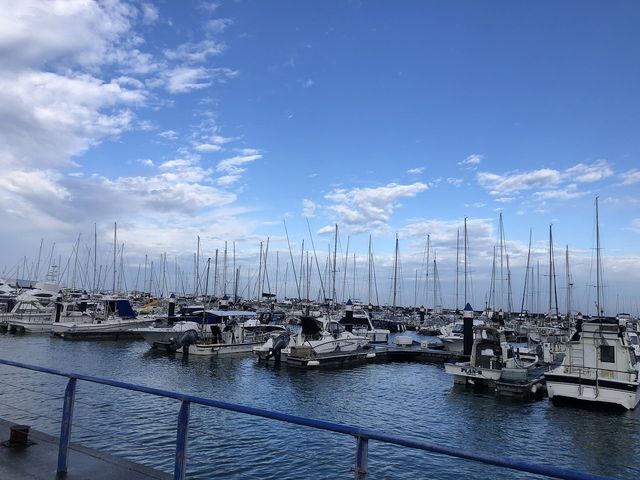 雨上がりの宜野湾マリーナ⛵