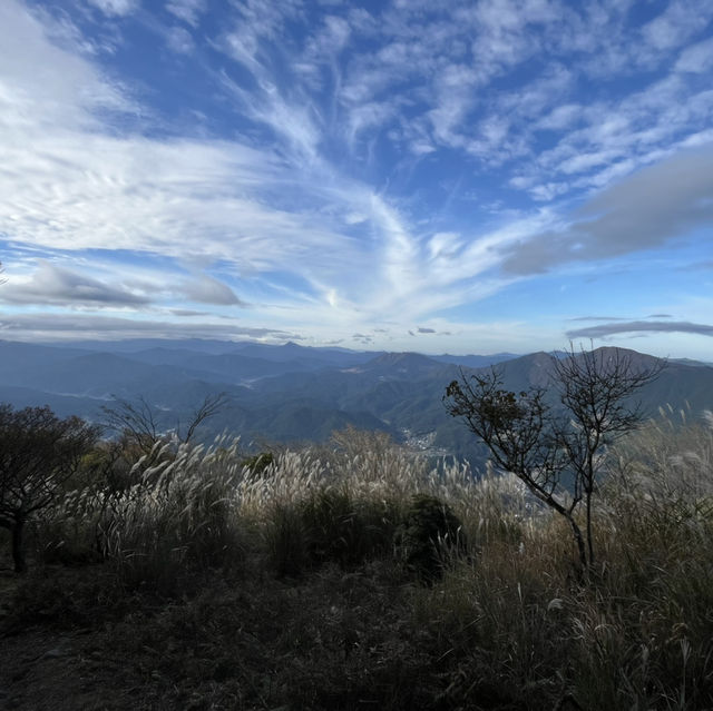 【大洞山〜尼ヶ岳】⛰️ 関西百名山