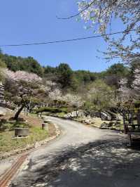수목원프로방스  キャンプ場