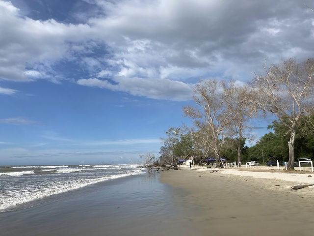 Shabandar Beach: My Secret Paradise Where the Sand is Gold & the Crowds are Zero! 🌴🌊