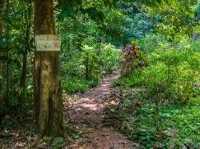Gunung Lambak: The Mini Mountain That Will Wreck Your Legs (But Feed Your Soul)🏔️😅