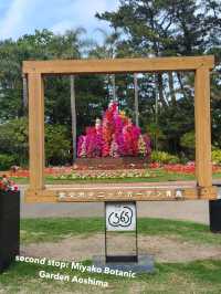 What you can do with 3 days at Miyazaki, Japan