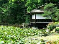 🌸 "Kyoto’s Secret Sakura Spot: Why Shosei-en Garden Stole My Heart" 🌸