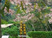 阿里山國家風景區-管理處暨觸口遊客中心