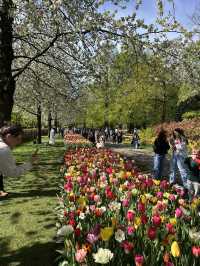A day in Keukenhof
