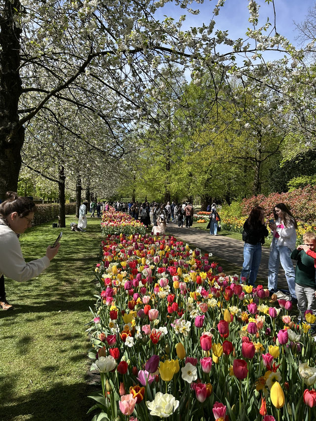 A day in Keukenhof