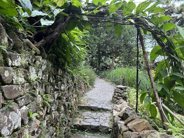🌿 Spice Up Your Life: A Wild & Whimsical Day at Tropical Spice Garden, Penang!  