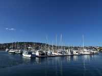 Explore the beauty of Hobart Tasmania 