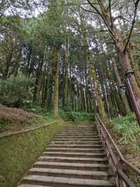 # 阿里山國家森林遊樂區-嘉義縣阿里山鄉