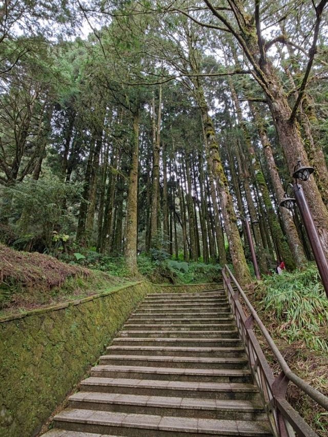 # 阿里山國家森林遊樂區-嘉義縣阿里山鄉