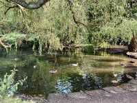 Exploring Nature and History at Highbury Park