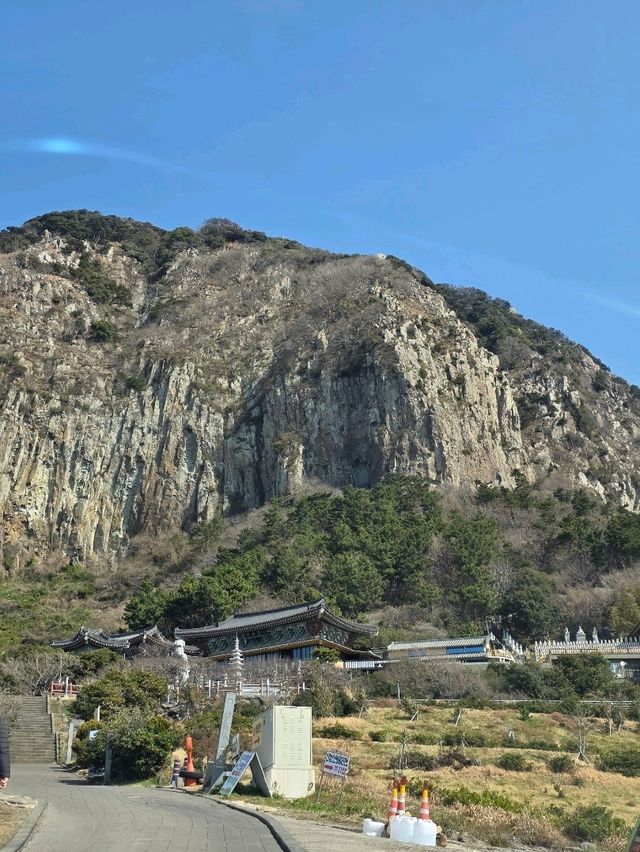 노란 물결 속에 피어난 감성 카페🌼