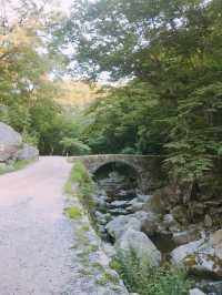 1박 2일 순천 여행 추천 코스: 자연과 전통이 어우러진 여유로운 여행 🌿