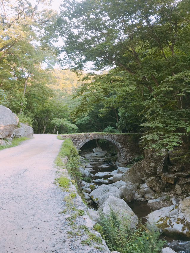 1박 2일 순천 여행 추천 코스: 자연과 전통이 어우러진 여유로운 여행 🌿