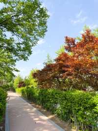 韓國景點🇰🇷寧靜休閑的小公園🌳