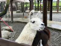 Attractions to visit in Lanyang Animal and Plant Kingdom
