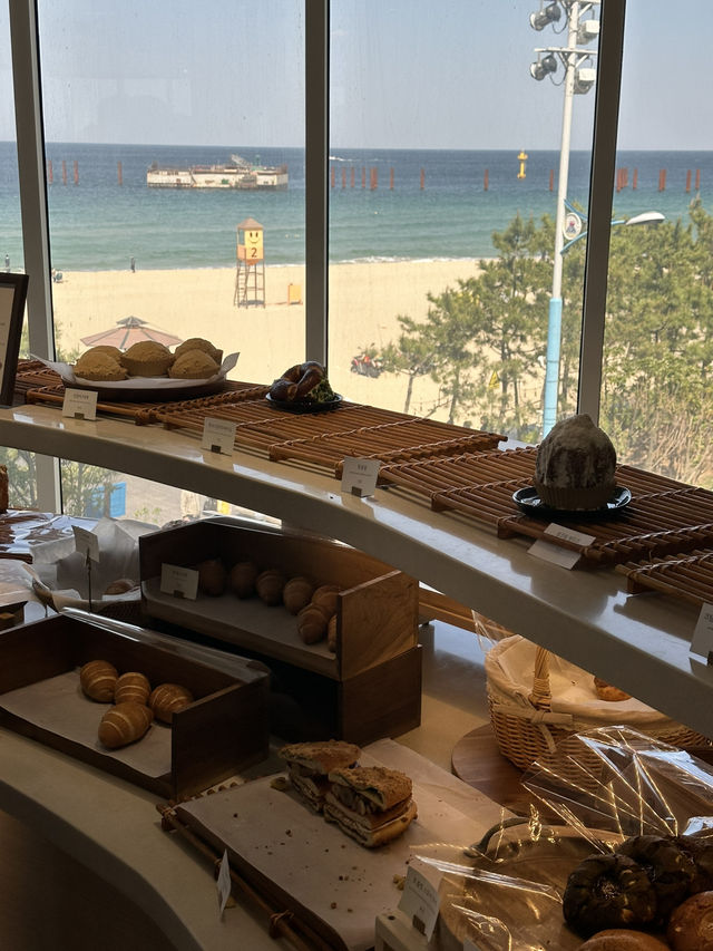 반짝반짝 빛나는 아름다운 삼척해변을 보며 🌅빵과 커피를 즐길 수 있는 삼척 카페여행가이드