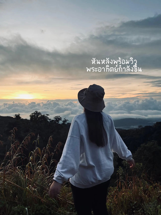 📸 How to ถ่ายรูปที่จุดชมวิวดอยอินทนนท์ให้ปัง! ⛰️