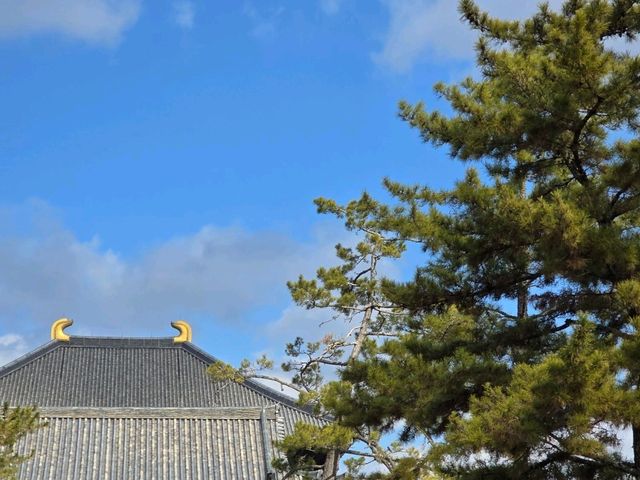 วัด TODAIJI