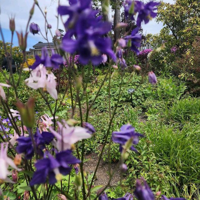 Mendocino Coast Botanical Gardens – Fort Bragg, CA