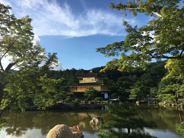 ⛩️ 京都金閣寺｜閃耀金光的夢幻世界遺產 