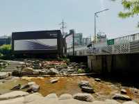 From Gallery Walls to Streamside Art