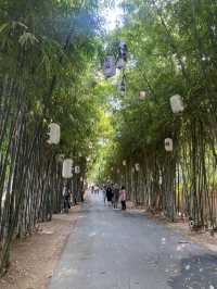 คาเฟ่สายธรรมชาติ The Village Farm To Café 🌳
