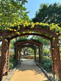 Ihyeon Park, Daegu – A Hidden Gem for Serenity Seekers