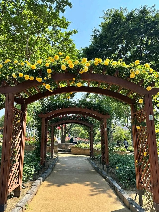 Ihyeon Park, Daegu – A Hidden Gem for Serenity Seekers Ihyeon Park, Daegu – A Hidden Gem for Serenity Seekers