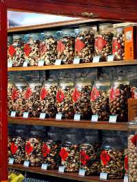The Hidden Riches & Retro Streets of Guangzhou