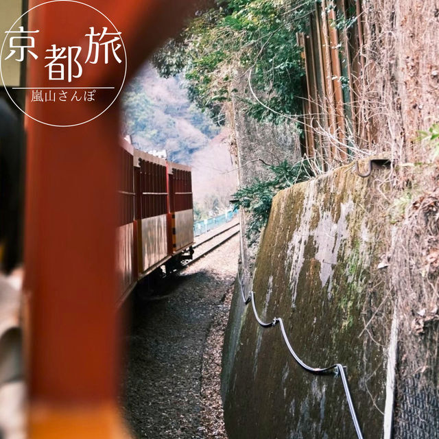 【京都】絶景列車と舟旅で楽しむ、嵐山1日満喫コース