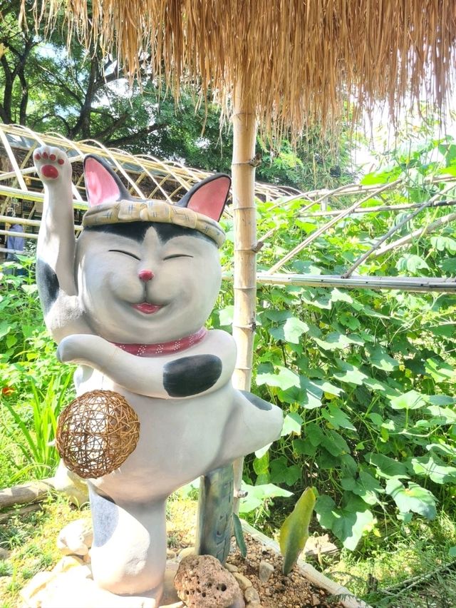 ชิราคาวาโกะ คาเฟ่ สวนผึ้ง