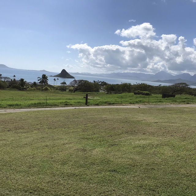 クアロアランチ　ハワイで大自然を楽しむ！⛰