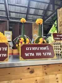 สายมูเชียงใหม่ ห้ามพลาด ✨