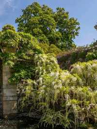 Bodnant Garden – A Living Masterpiece in the Heart of North Wales