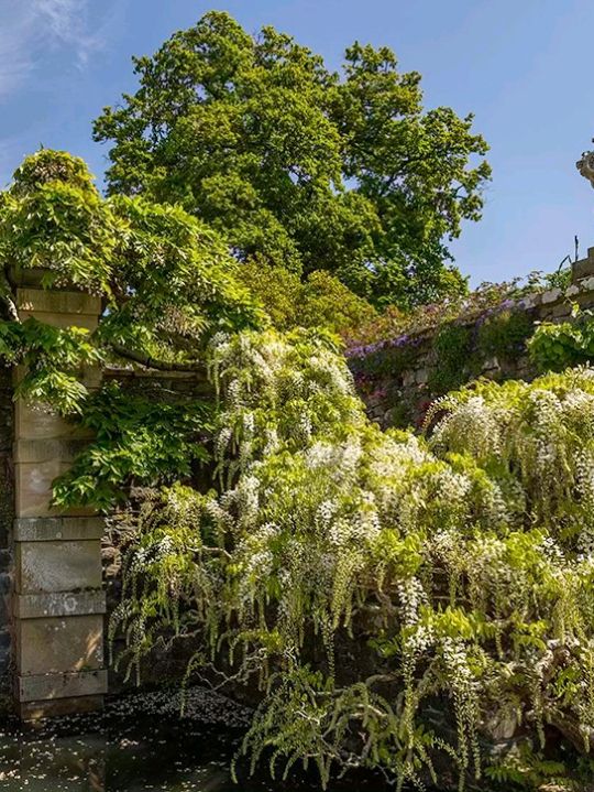 Bodnant Garden – A Living Masterpiece in the Heart of North Wales