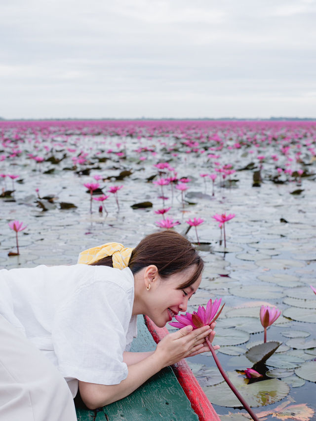 ที่นี่กุมภวาปี