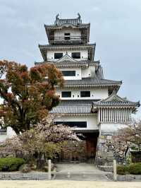 A Slow Day in Imabari – Castles, Shrines & Seaside Calm