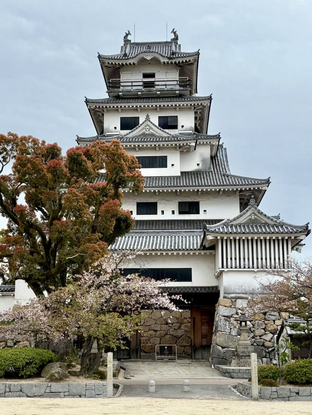 A Slow Day in Imabari – Castles, Shrines & Seaside Calm