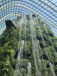 แหล่งท่องเที่ยวยอดฮิต Garden by the bay 🇸🇬