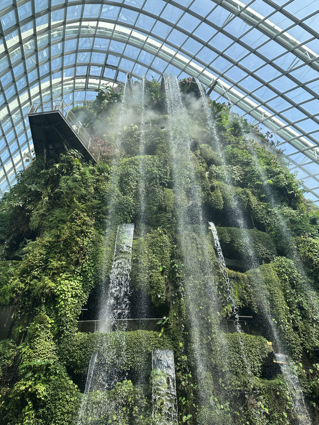 แหล่งท่องเที่ยวยอดฮิต Garden by the bay 🇸🇬