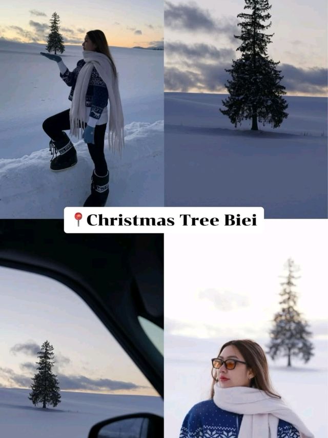แจกแพลนเที่ยว 20 ที่ ใน Hokkaido