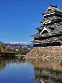 🏯 "Where history stands tall — explorin