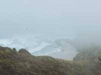 🇳🇿北島Cape Reinga｜走到紐西蘭最北端