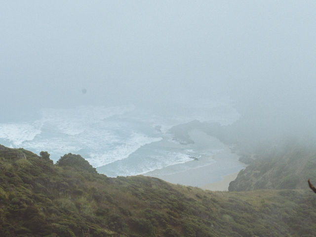 🇳🇿北島Cape Reinga｜走到紐西蘭最北端