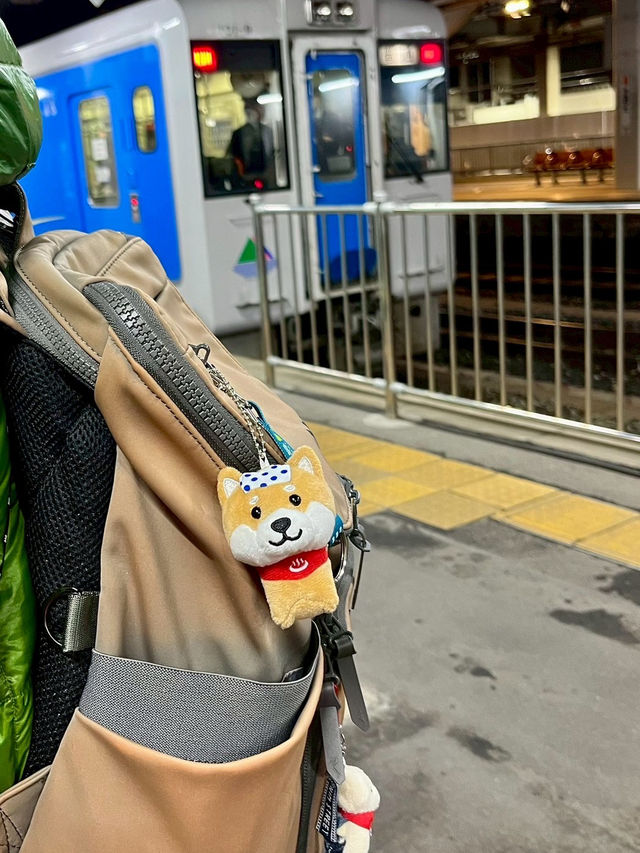 春之旅～～～～仙台賞櫻🌸