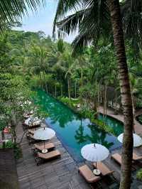 Ubud: Bali’s Soulful Heartbeat of Nature and Culture