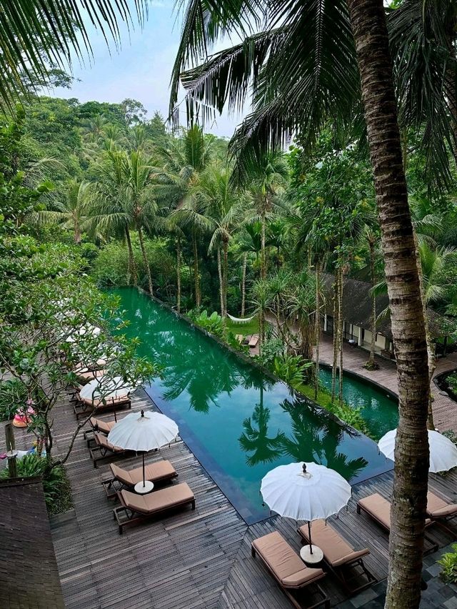 Ubud: Bali’s Soulful Heartbeat of Nature and Culture