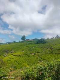 Munnar: India’s Emerald Escape in the Western Ghats