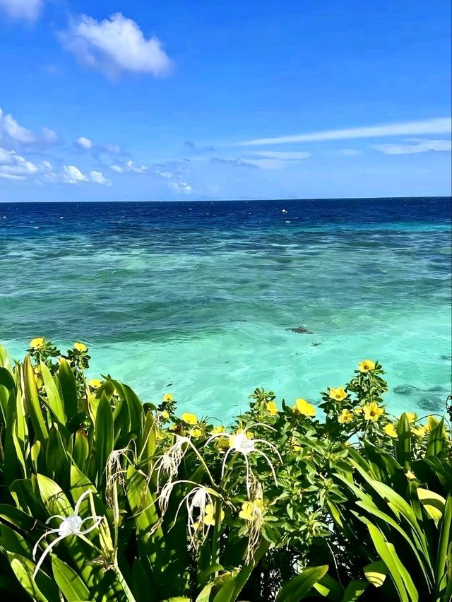 Bohey Dulang Island: Semporna's Crown Jewel